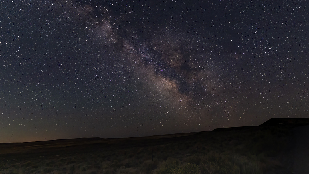 DSC
