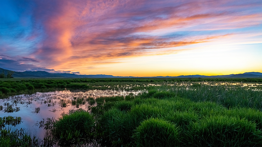 DSC09848-HDR